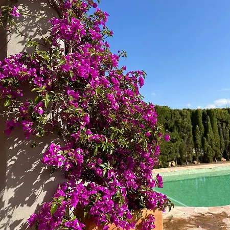 Loma Cris Y Javi Вилла