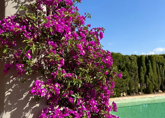 Loma Cris Y Javi Villa